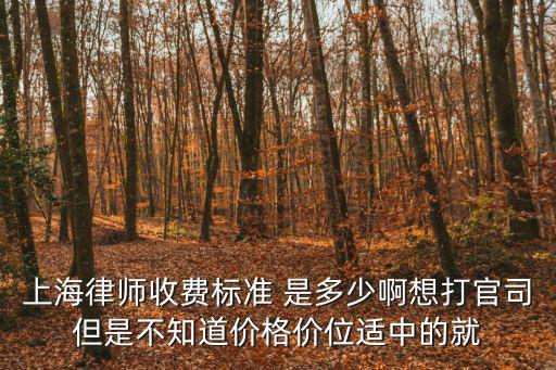 上海律師收費標準 是多少啊想打官司但是不知道價格價位適中的就
