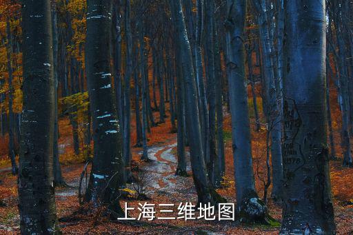 2020上海主城區地圖，最新的上海地圖
