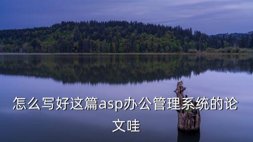 怎么寫好這篇asp辦公管理系統(tǒng)的論文哇