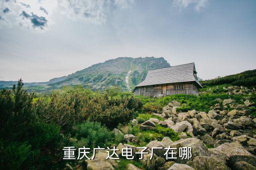 重慶廣達電子廠在哪