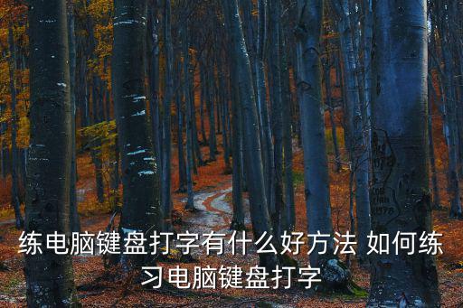 電腦鍵盤練習，求電腦鍵盤練習