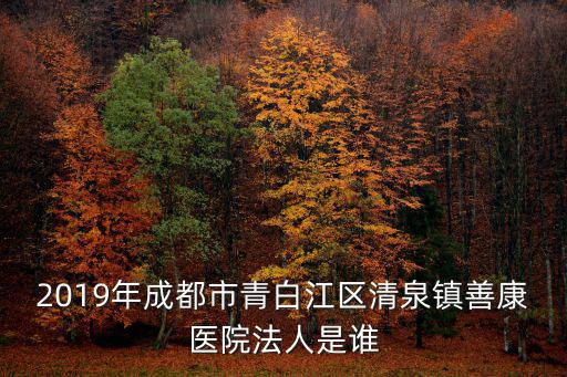 2019年成都市青白江區清泉鎮善康醫院法人是誰