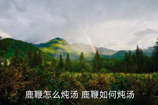  鹿鞭怎么燉湯 鹿鞭如何燉湯