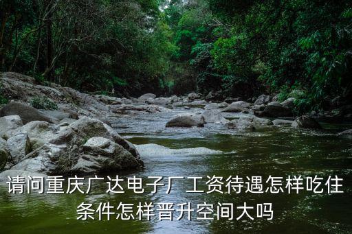重慶市沙坪區廣達電子廠，請問重慶廣達電子廠工資待遇怎樣吃住條件怎樣晉升空間大嗎
