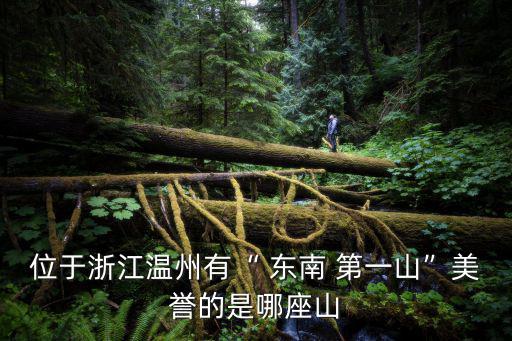 位于浙江溫州有“ 東南 第一山”美譽的是哪座山