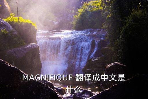MAGNIFIQUE 翻譯成中文是什么