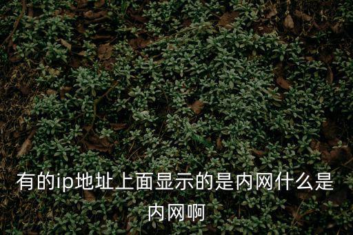 有的ip地址上面顯示的是內網什么是內網啊