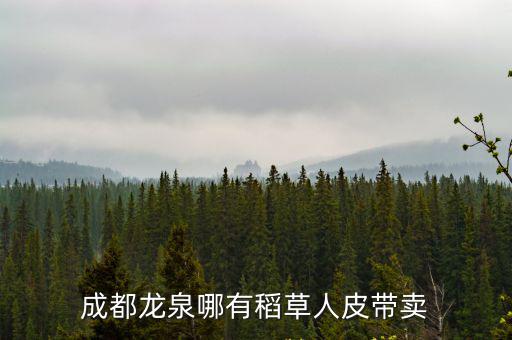 成都龍泉哪有稻草人皮帶賣