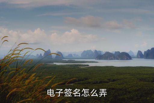 電子簽名怎么弄