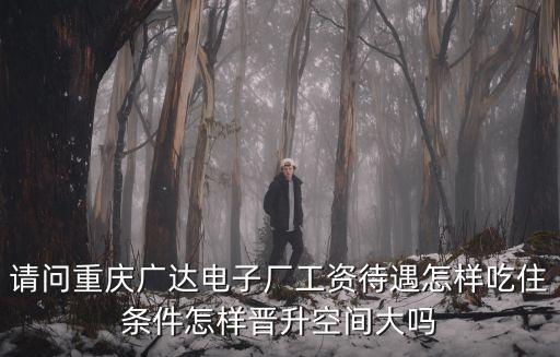 請問重慶廣達電子廠工資待遇怎樣吃住條件怎樣晉升空間大嗎