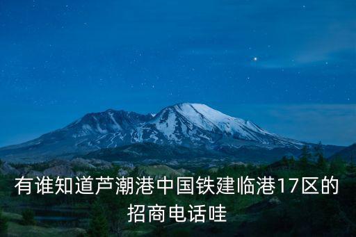 有誰知道蘆潮港中國鐵建臨港17區的招商電話哇