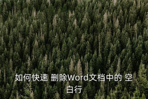 如何快速 刪除Word文檔中的 空白行
