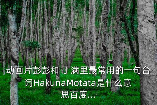 動畫片彭彭和 丁滿里最常用的一句臺詞HakunaMotata是什么意思百度...