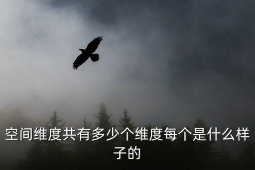 空間維度共有多少個(gè)維度每個(gè)是什么樣子的