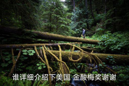 誰詳細介紹下美國 金酸梅獎謝謝
