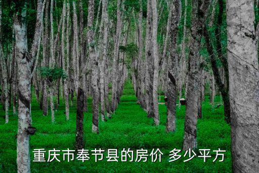 重慶市奉節縣的房價 多少平方