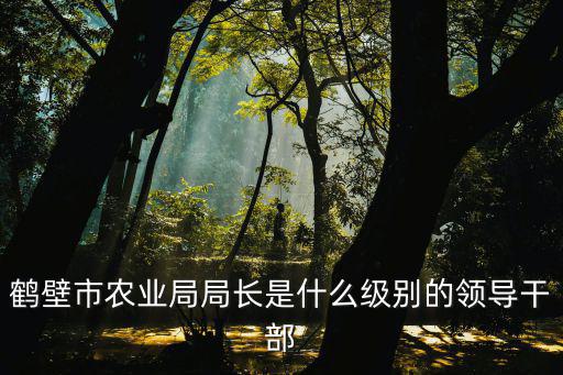 鶴壁市農業局局長是什么級別的領導干部