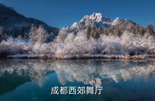 成都西郊舞廳