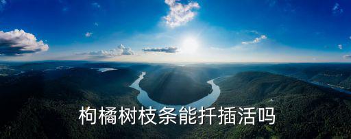 枸橘,《晏子春秋內篇雜》:橘生淮南為橘，淮北為橘