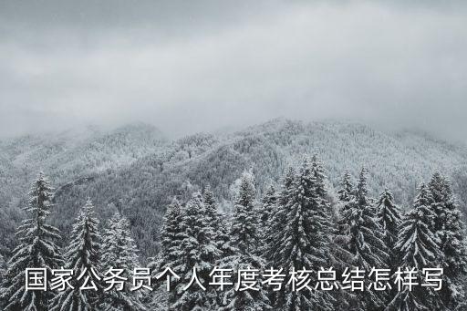 國家公務員個人年度考核總結怎樣寫