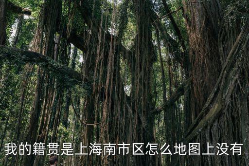 我的籍貫是上海南市區(qū)怎么地圖上沒(méi)有