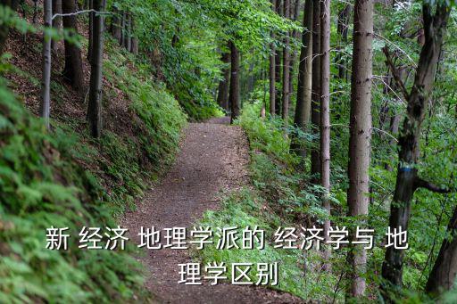新 經(jīng)濟(jì) 地理學(xué)派的 經(jīng)濟(jì)學(xué)與 地理學(xué)區(qū)別