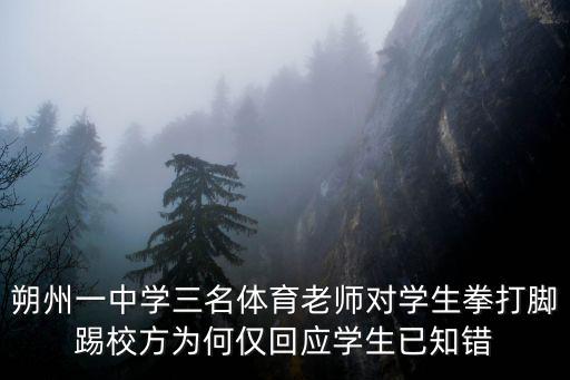 朔州一中學三名體育老師對學生拳打腳踢校方為何僅回應學生已知錯