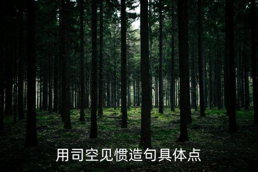 用司空見(jiàn)慣造句具體點(diǎn)