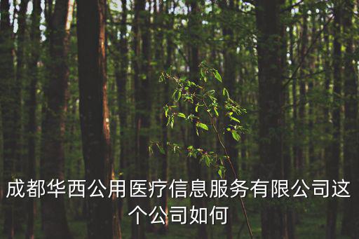 成都華西公用醫療信息服務有限公司這個公司如何