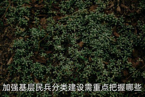加強(qiáng)基層民兵分類建設(shè)需重點(diǎn)把握哪些