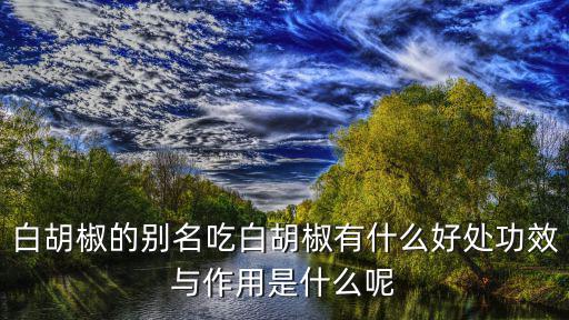 白胡椒的別名吃白胡椒有什么好處功效與作用是什么呢