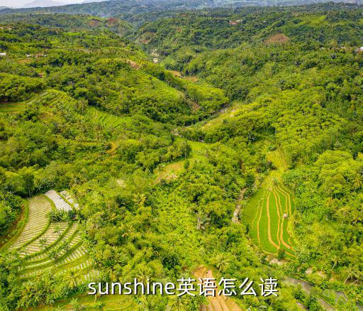 sunshine,一文讀懂!堅毅向前預算案