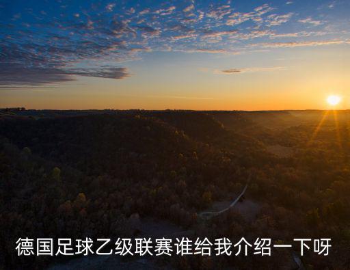 德國足球乙級聯賽誰給我介紹一下呀