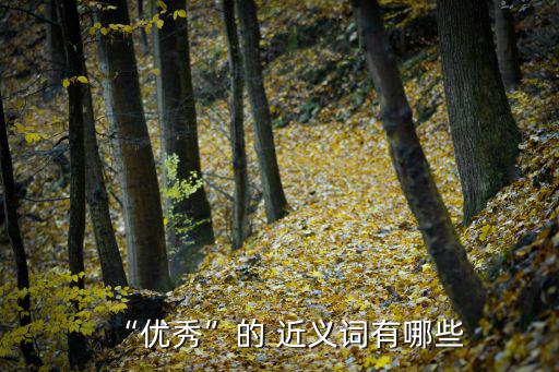 “優(yōu)秀”的 近義詞有哪些