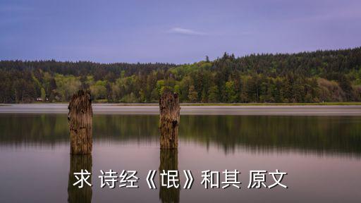 求 詩經《氓》和其 原文