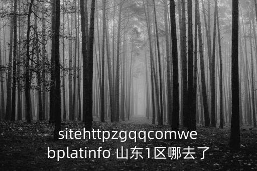 sitehttpzgqqcomwebplatinfo 山東1區哪去了