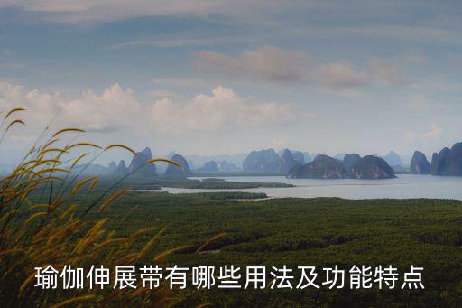 瑜伽伸展帶有哪些用法及功能特點