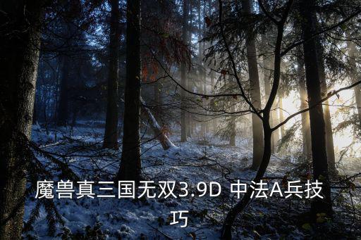 魔獸真三國(guó)無(wú)雙3.9D 中法A兵技巧