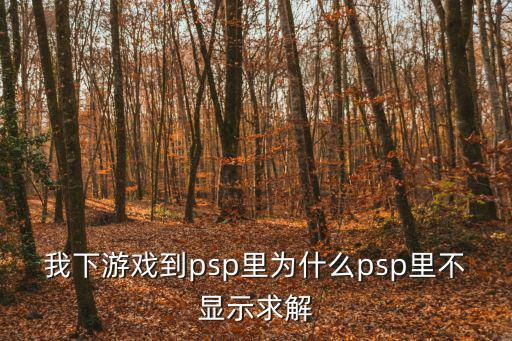 我下游戲到psp里為什么psp里不顯示求解