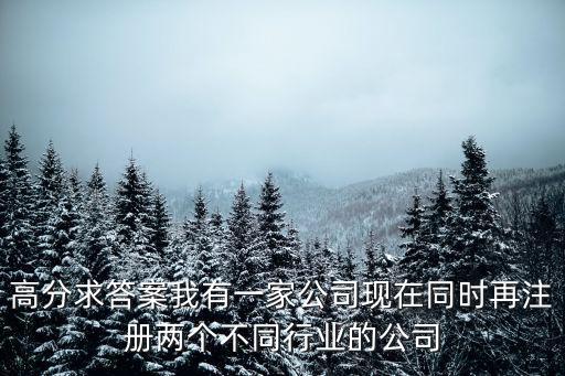 高分求答案我有一家公司現在同時再注冊兩個不同行業的公司