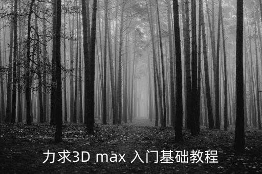力求3D max 入門基礎(chǔ)教程