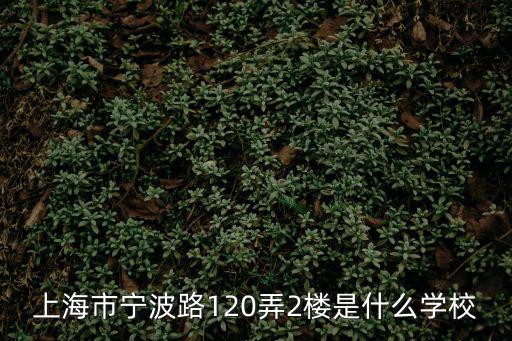 上海德閎國際雙語學(xué)校，上海市寧波路120弄2樓是什么學(xué)校