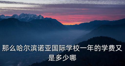 那么哈爾濱諾亞國際學校一年的學費又是多少哪