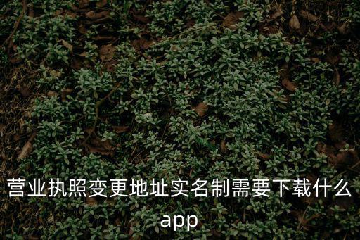 營業執照變更地址實名制需要下載什么app