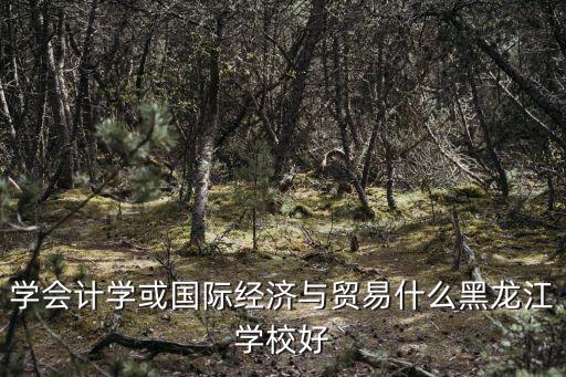 學會計學或國際經濟與貿易什么黑龍江學校好