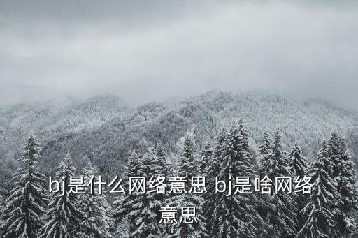  bj是什么網絡意思 bj是啥網絡意思