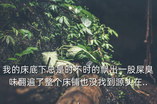 臭屎,廁所有毒氣?這張床真的有毒!