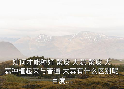 如何才能種好 紫皮 大蒜 紫皮 大蒜種植起來與普通 大蒜有什么區別呢百度...