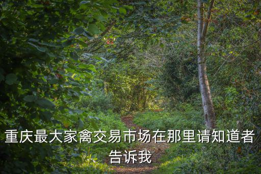 重慶最大家禽交易市場在那里請知道者告訴我