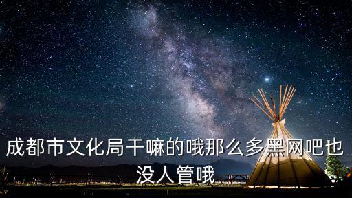 成都市文化局干嘛的哦那么多黑網吧也沒人管哦